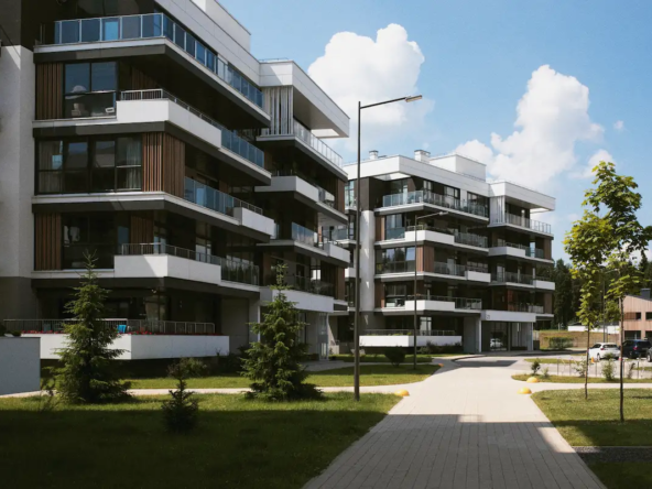 الحجية المطلقة