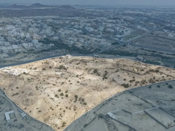 مزاد شامخات عسير