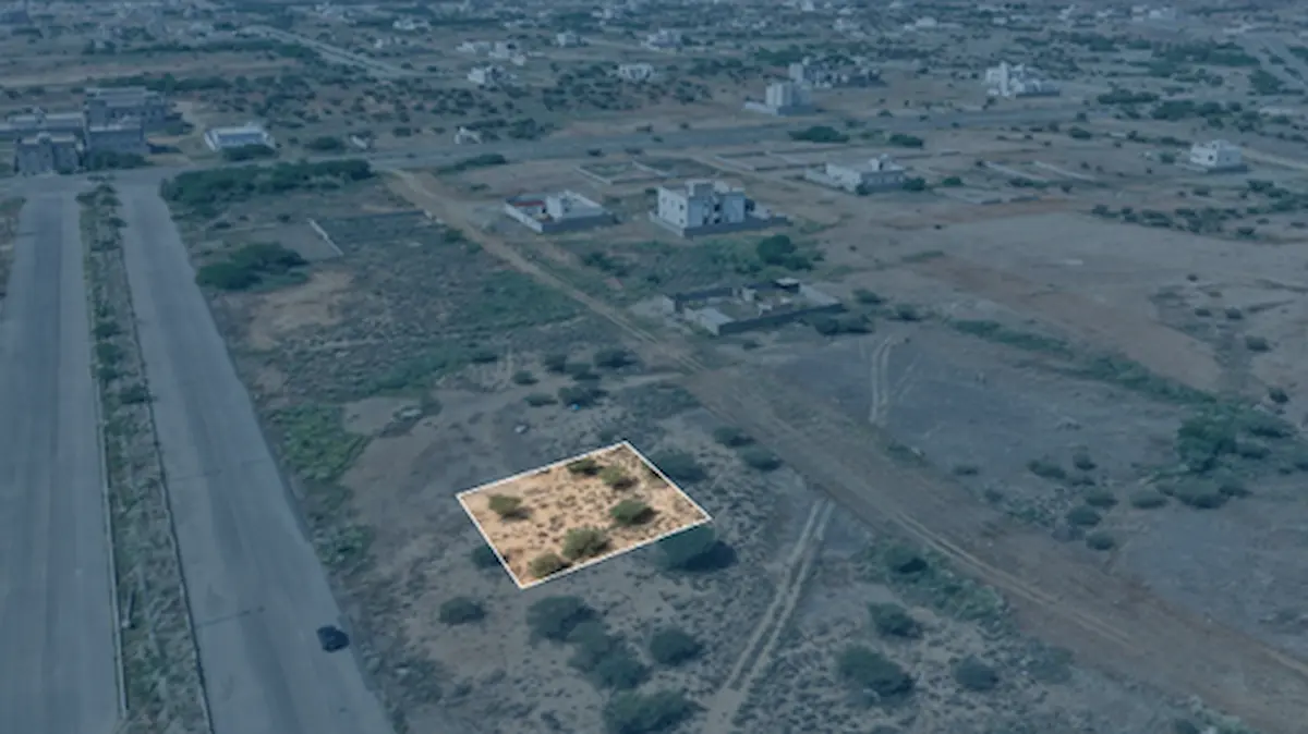 مزاد شامخات عسير