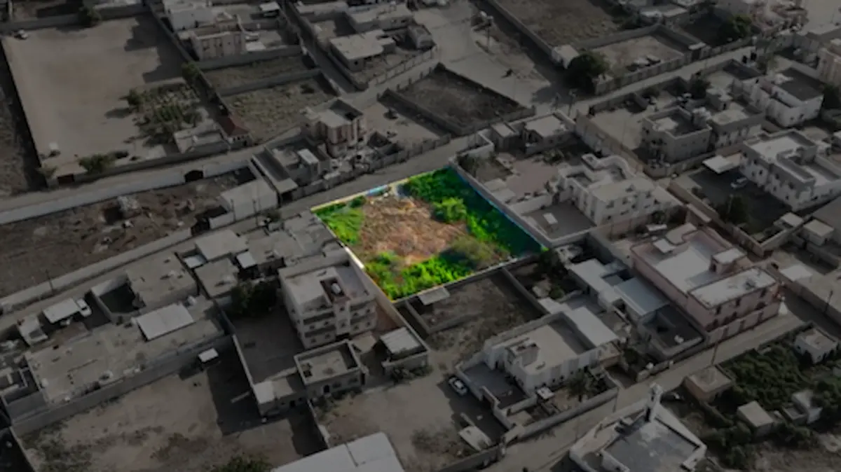 مزاد نوادر جازان