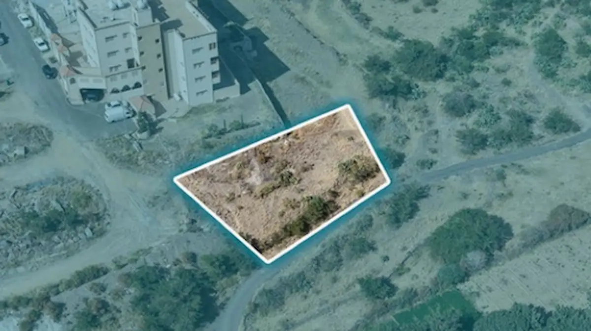 مزاد ربى عسير