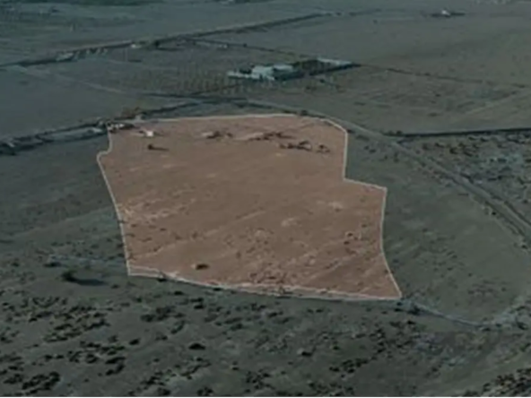 مزاد زراعي المدينة