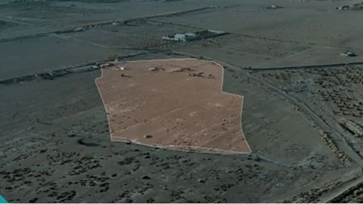 مزاد زراعي المدينة