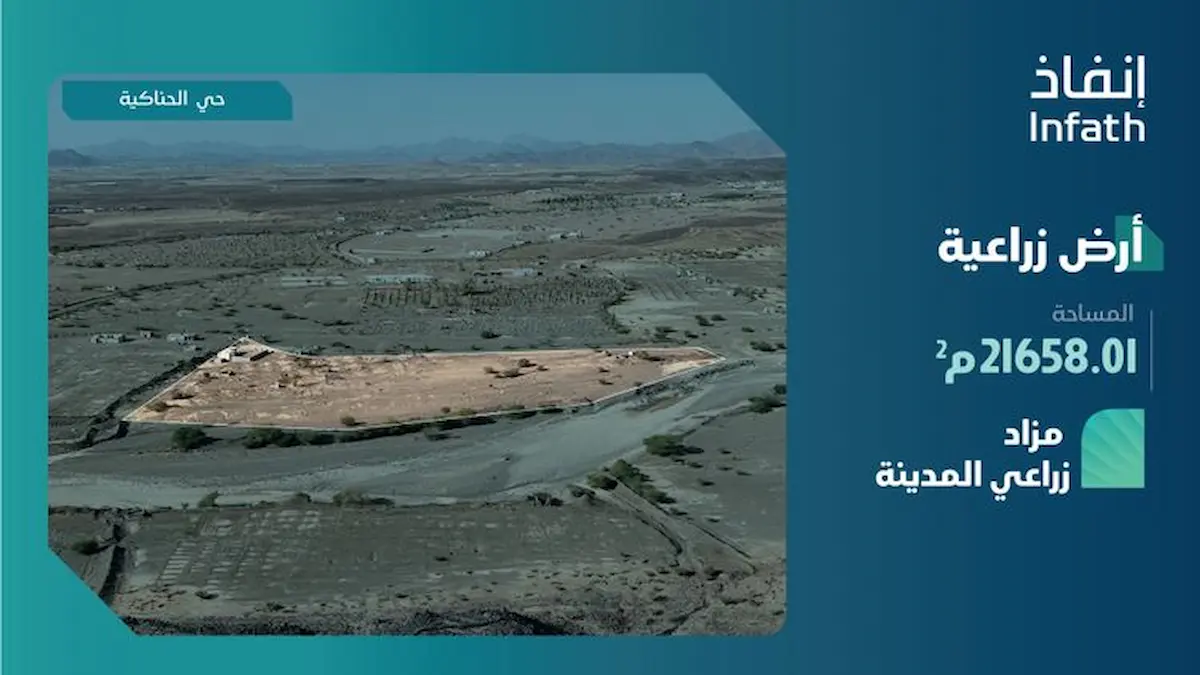 مزاد زراعي المدينة