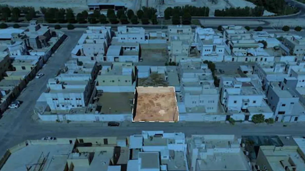 مزاد واحة القصيم