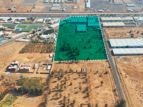 مزاد سماء تبوك