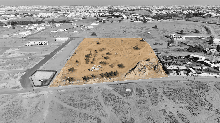 مزاد سنابل القصيم