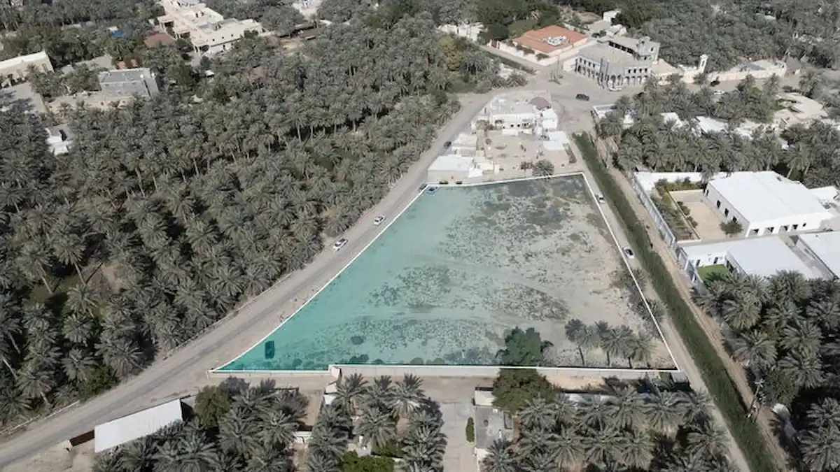 مزاد جنان الأحساء