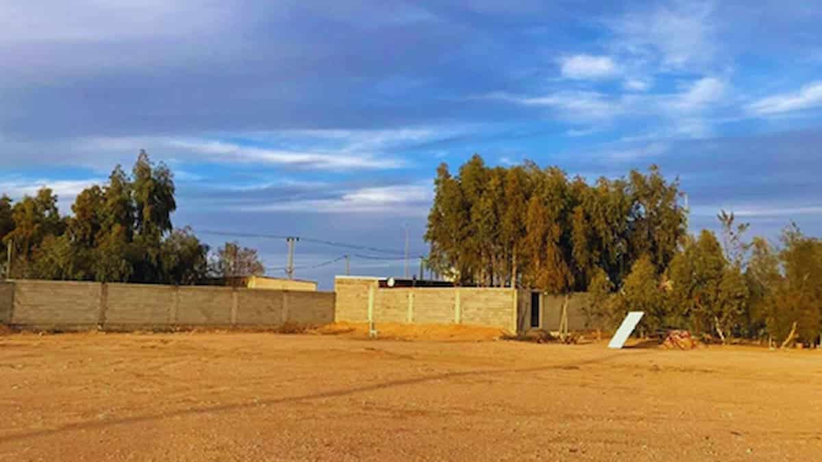 مزاد ديار عرعر