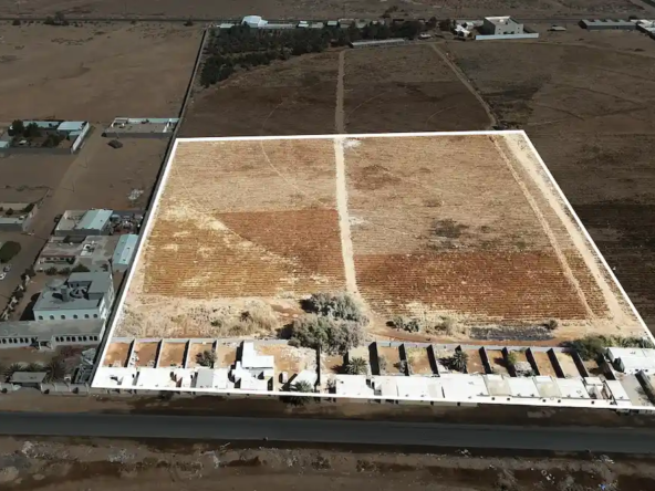 مزاد بشائر تبوك